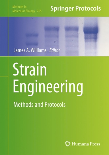 bokomslag Strain Engineering