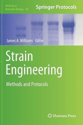 Strain Engineering