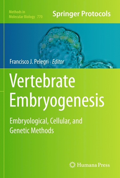 bokomslag Vertebrate Embryogenesis