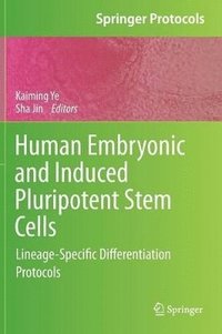 bokomslag Human Embryonic and Induced Pluripotent Stem Cells