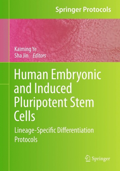 bokomslag Human Embryonic and Induced Pluripotent Stem Cells