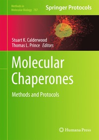 bokomslag Molecular Chaperones