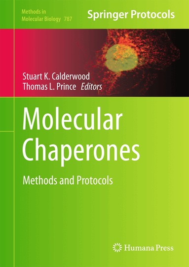 Stuart K. Calderwood, Thomas L. Prince - Molecular Chaperones, Inbunden