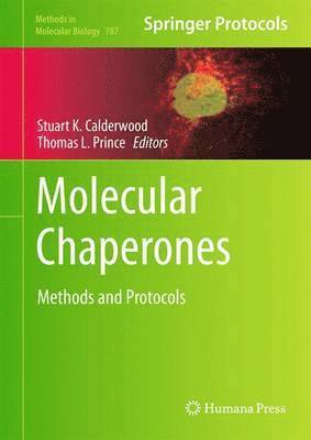 bokomslag Molecular Chaperones