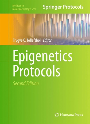 bokomslag Epigenetics Protocols