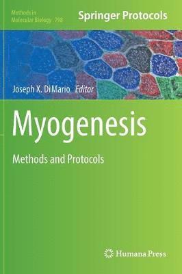 Myogenesis 1