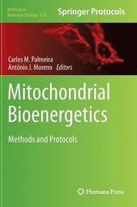 bokomslag Mitochondrial Bioenergetics