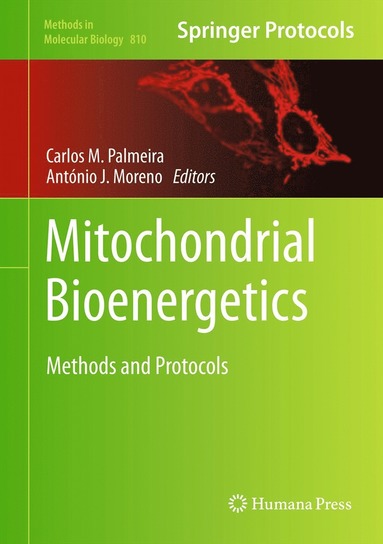 bokomslag Mitochondrial Bioenergetics