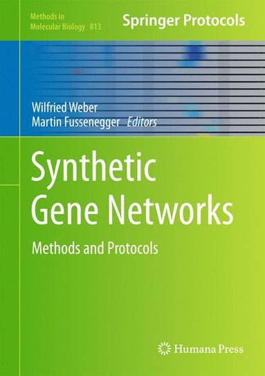 bokomslag Synthetic Gene Networks