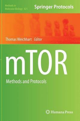 mTOR 1