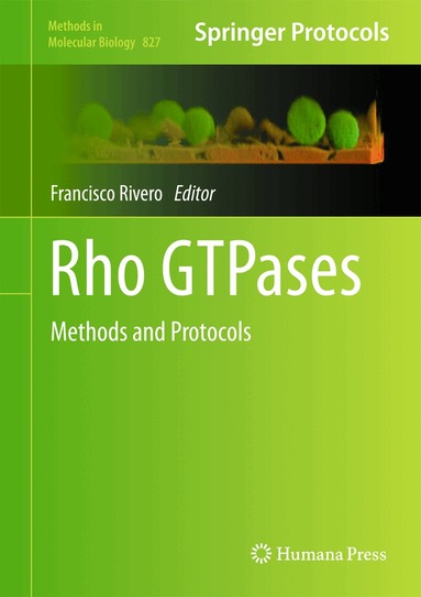 Francisco Rivero - Rho GTPases, Inbunden