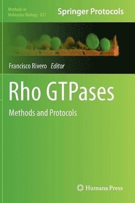 Francisco Rivero - Rho GTPases, Inbunden