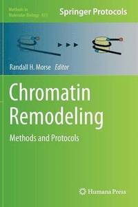 bokomslag Chromatin Remodeling