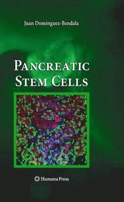 bokomslag Pancreatic Stem Cells