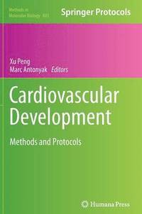 bokomslag Cardiovascular Development