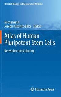 bokomslag Atlas of Human Pluripotent Stem Cells