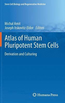 bokomslag Atlas of Human Pluripotent Stem Cells