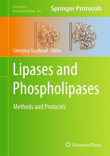 bokomslag Lipases and Phospholipases