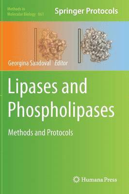 Georgina Sandoval - Lipases and Phospholipases, Inbunden