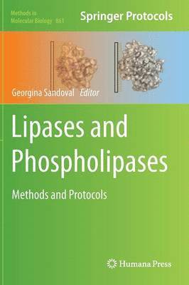 Lipases and Phospholipases 1