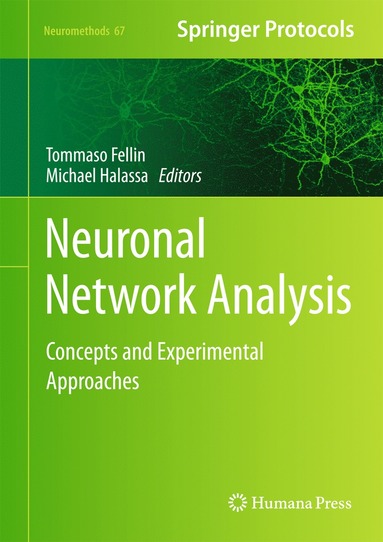 bokomslag Neuronal Network Analysis