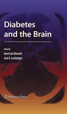 bokomslag Diabetes and the Brain
