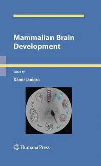 bokomslag Mammalian Brain Development