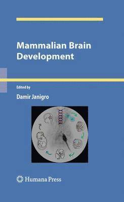 bokomslag Mammalian Brain Development