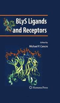 bokomslag BLyS Ligands and Receptors