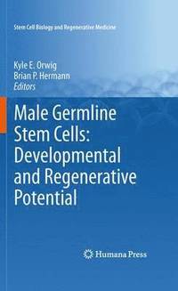 bokomslag Male Germline Stem Cells: Developmental and Regenerative Potential
