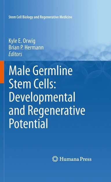 bokomslag Male Germline Stem Cells: Developmental and Regenerative Potential