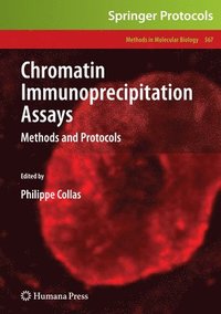 bokomslag Chromatin Immunoprecipitation Assays