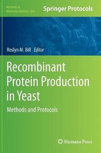 bokomslag Recombinant Protein Production in Yeast