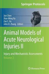 bokomslag Animal Models of Acute Neurological Injuries II