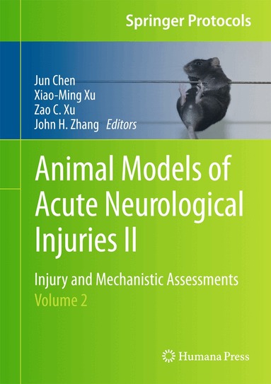 Jun Chen, Xiao-Ming Xu, Zao C. Xu, John H. Zhang - Animal Models of Acute Neurological Injuries II, Inbunden
