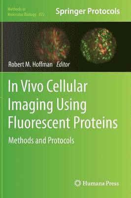 In Vivo Cellular Imaging Using Fluorescent Proteins 1
