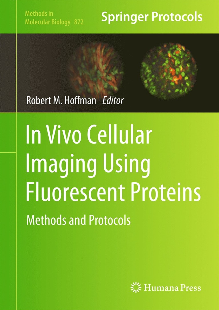Robert Hoffman - In Vivo Cellular Imaging Using Fluorescent Proteins, Inbunden