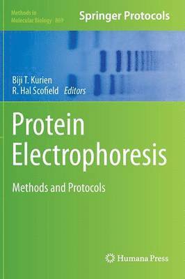 bokomslag Protein Electrophoresis