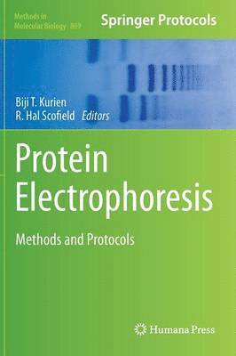 Protein Electrophoresis