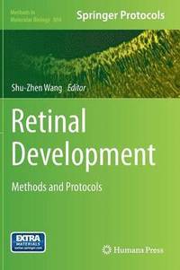 bokomslag Retinal Development