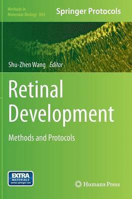 bokomslag Retinal Development