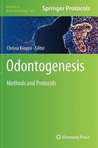 bokomslag Odontogenesis