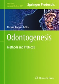 bokomslag Odontogenesis