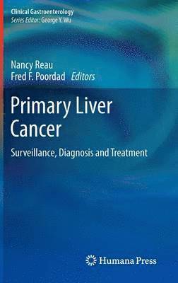 bokomslag Primary Liver Cancer
