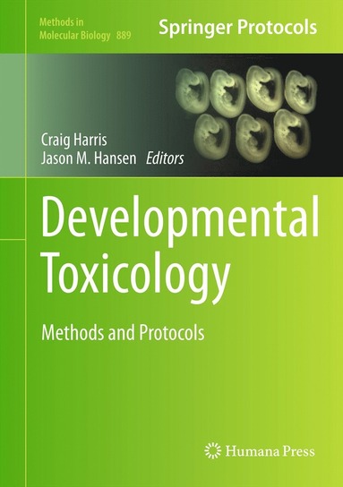 bokomslag Developmental Toxicology