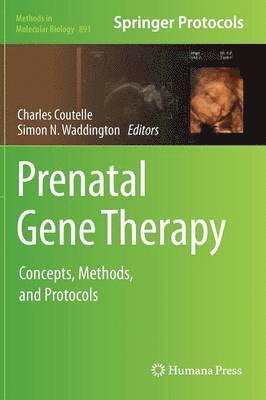 bokomslag Prenatal Gene Therapy