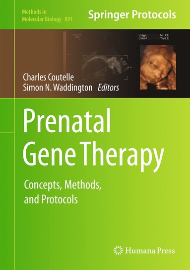 bokomslag Prenatal Gene Therapy