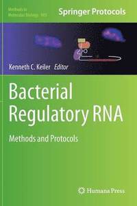 bokomslag Bacterial Regulatory RNA