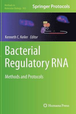 bokomslag Bacterial Regulatory RNA