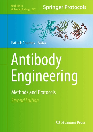 Patrick Chames - Antibody Engineering, Inbunden